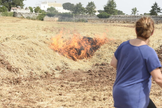 incendio in campagna con persone che quardano il fuoco