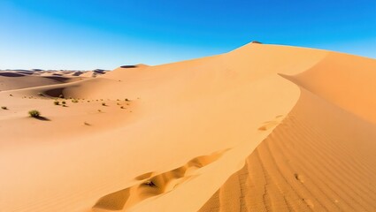 Golden Sand Dune Ridge Under Clear Blue Sky in the Desert Landsc