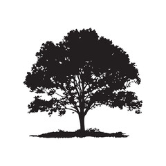 Fototapeta premium Black Silhouette of a Broadleaf Tree Isolated on White Background Image