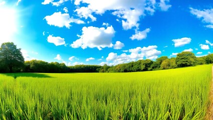 Obraz premium Vast green field under a bright blue sky with fluffy white clouds