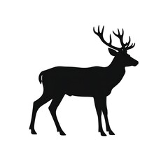 Obraz premium Silhouette of a stag standing in profile, antlers prominent