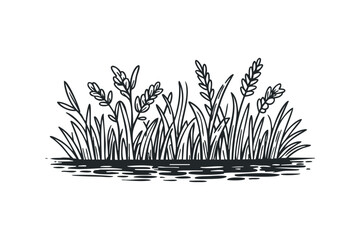 Black ink drawing of grass and reeds on water surface. Vector hand drawn illustration