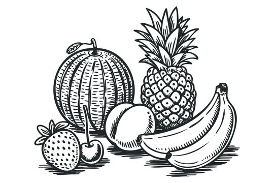 Hand Drawn Assortment of Fresh Fruit Medley. Vector hand drawn illustration