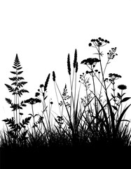 Silhouette of various wildflowers and grasses against a white background