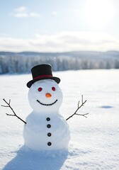 Obraz premium snowman on the snow