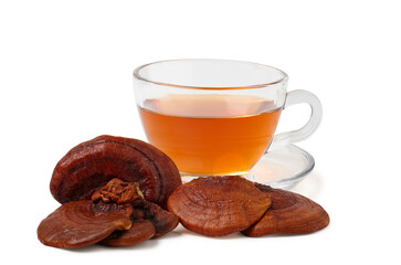 Reishi mushroom tea in a clear cup with dried reishi mushrooms next to it. isolated on white background.