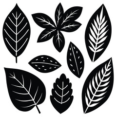 a collection of teal leaves in various shapes on a (1).eps