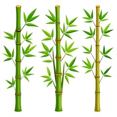 Obraz premium Three bamboo stalks with vibrant green leaves
