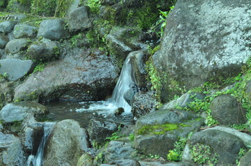 small waterfall in the forest