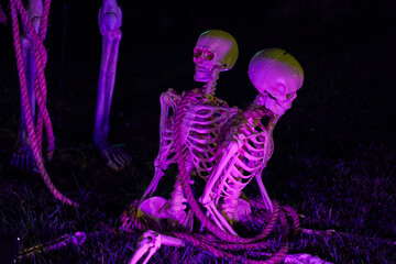 Two Halloween skeletons sit back to back with rope under purple lighting on the lawn at night. Spooky outdoor decorations create an eerie, macabre yard display.
