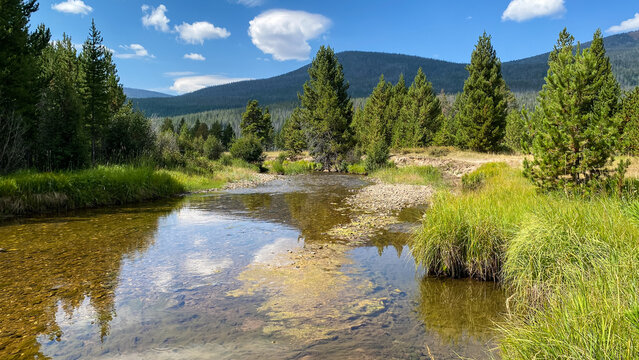 The Colorado RIver in Coyote Valley in Rocky Mountain National Park