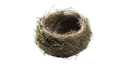 A bird nest isolated on transparent background, crafted from twigs, grass, and moss, representing nature, home, and the beginning of life in springtime