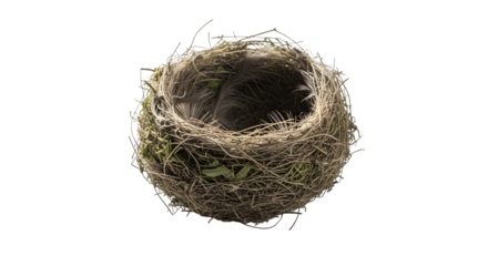 A bird nest isolated on transparent background, crafted from twigs, grass, and moss, representing nature, home, and the beginning of life in springtime