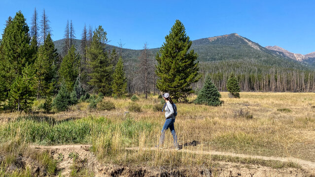 Woman Walking the Coyote Valley Trail in Rocky Mountain National Park