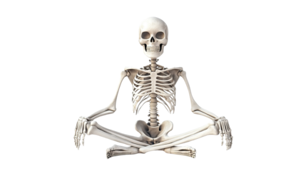 Cute cartoon skeleton on Halloween