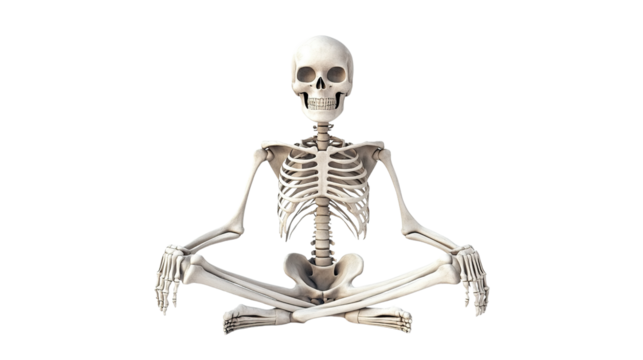 Cute cartoon skeleton on Halloween