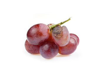 Grapes are very fresh on a white background.