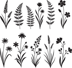 Elegant Botanical Silhouettes: A collection of exquisite botanical silhouettes, gracefully displaying diverse plants, from delicate flowers to intricate ferns, perfect for enhancing design projects. 
