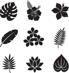 Exotic Botanical Designs: A set of captivating botanical designs. Featuring intricate illustrations of tropical leaves and flowers in elegant black, perfect for enhancing various design projects.