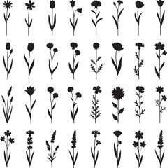 Floral Symphony: Elegant silhouettes of various delicate blooms, each representing the quiet grace and timeless beauty of nature, poised against a stark and stunning contrast.