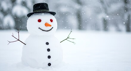 Fototapeta premium snowman on the snow