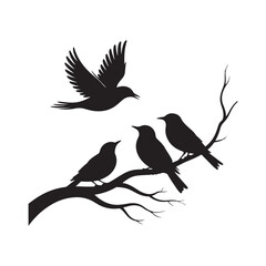 Black Bird Silhouette Vector Design