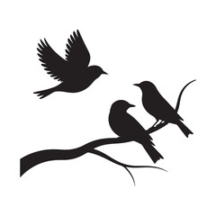 Bird Silhouettes Perched on Branch with Flying Bird