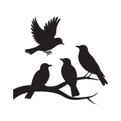 Black Silhouette Birds Vector Design