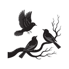 Black Silhouette Birds Vector Design