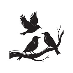 Black Silhouette Birds Vector Design