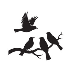 Black Silhouette Birds Vector Design
