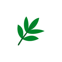 green leaf isolated on white