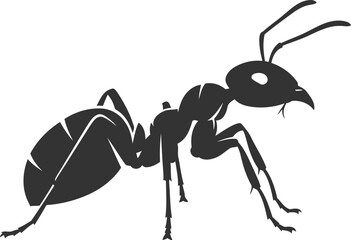 Vector of an ant insect silhouette illustration