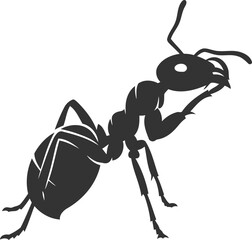 Vector of an ant insect silhouette illustration