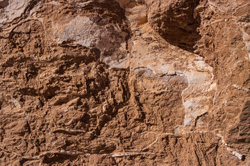 Close-Up of Eroded Rock Surface with Mineral Veins, Atacama Desert