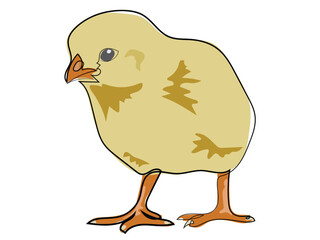 Chicks in continuous line drawing style