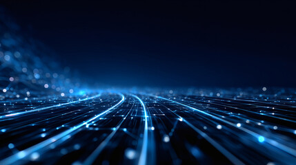 Digital Network Pathways of the Future