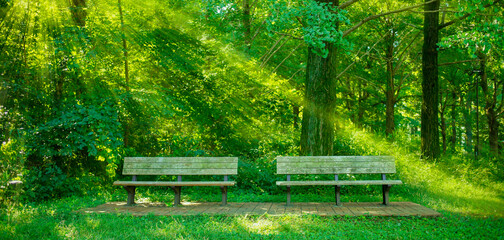 公園のベンチ　バナー画像