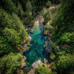 Fototapeta premium Aerial View of a Hidden Turquoise River Sanctuary in a Lush Evergreen Forest Canyon.