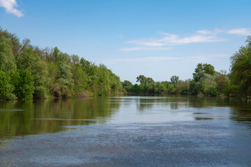 The Volga River Delta in the Damchik section of the Astrakhan Biosphere Reserve, Central cordon, on...