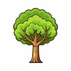 green tree isolated on white