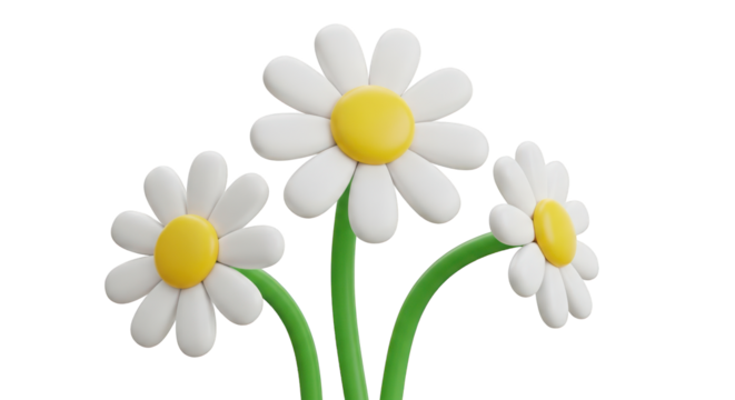 Three cartoon daisies with yellow centers and white petals isolated on a transparent background