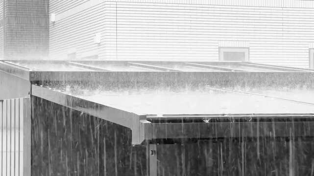 モノクロ　ゲリラ豪雨　土砂降りの雨