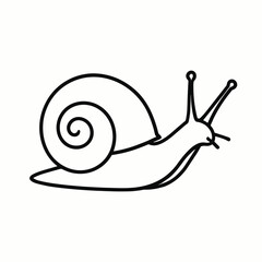 Simple line drawing of a snail with spiral shell  