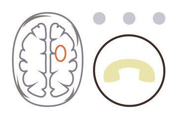 Stylized drawing of a brain with an orange-highlighted area and abstract circular focus. Ideal for neuroscience, anatomy, cognition, education, health, mental processes, learning. A simple flat