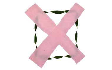 Pink Cross Mark Over a Green Leaf Frame, Isolated on a Transparent Background