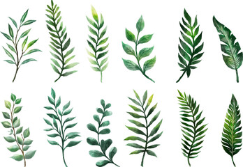 Beautiful watercolor leaf vector bundle set featuring natural and artistic designs. Perfect for invitations, eco-friendly branding, packaging, posters, botanical artwork, and decorative projects.