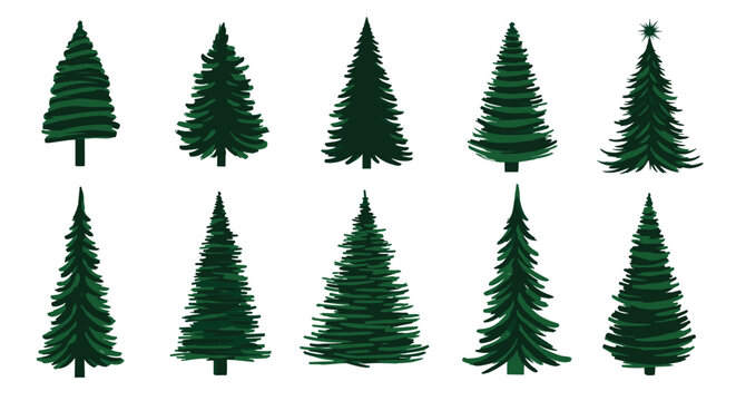 A collection of twelve digitally rendered evergreen trees in various styles and sizes.