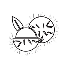Tropical Lychee Line Art