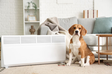 Cute Beagle dog near radiator at home